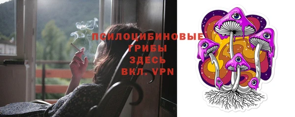 героин Михайлов
