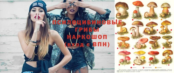 ПСИЛОЦИБИНОВЫЕ ГРИБЫ Мегион