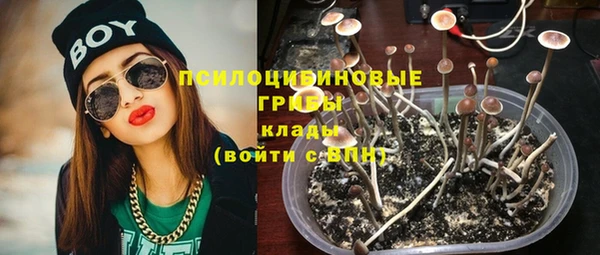 трава Михайловск